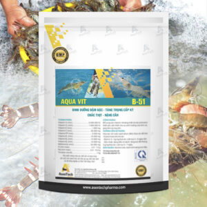 AQUA VIT B-51