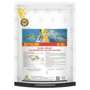BETACAN
