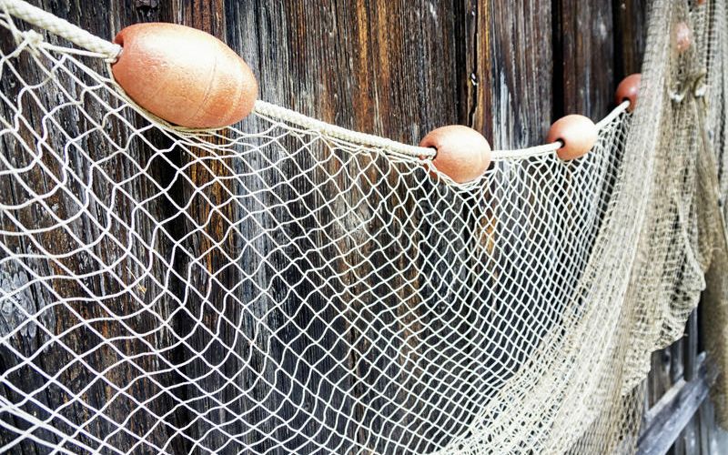 Bí quyết đánh bắt hải sản năng suất cao bằng lưới kéo đơn