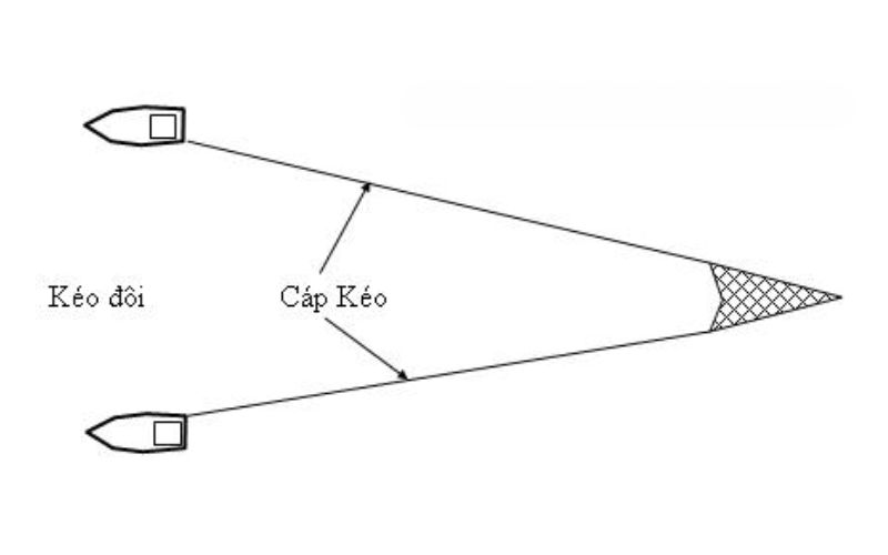 Cách vận hành lưới kéo đôi để tăng năng suất đánh bắt hải sản