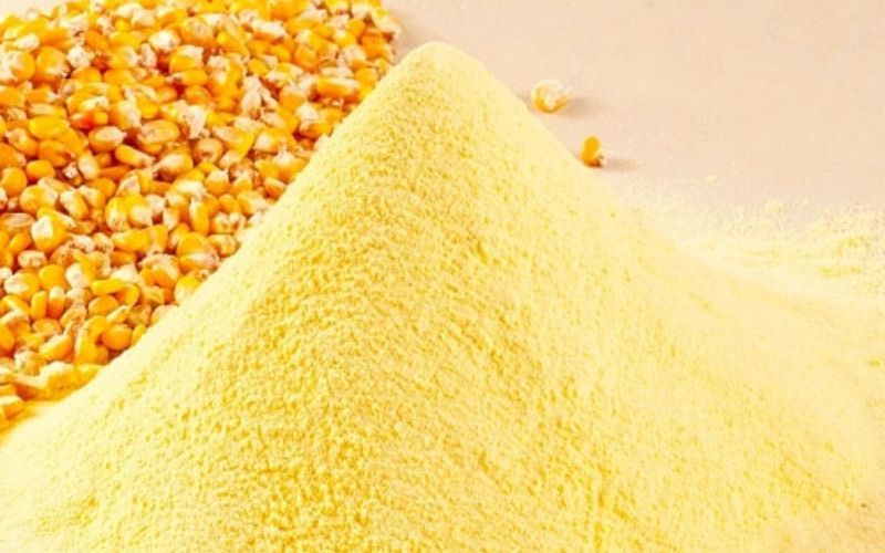 Dinh dưỡng và thức ăn thủy sản cho nuôi trồng bền vững