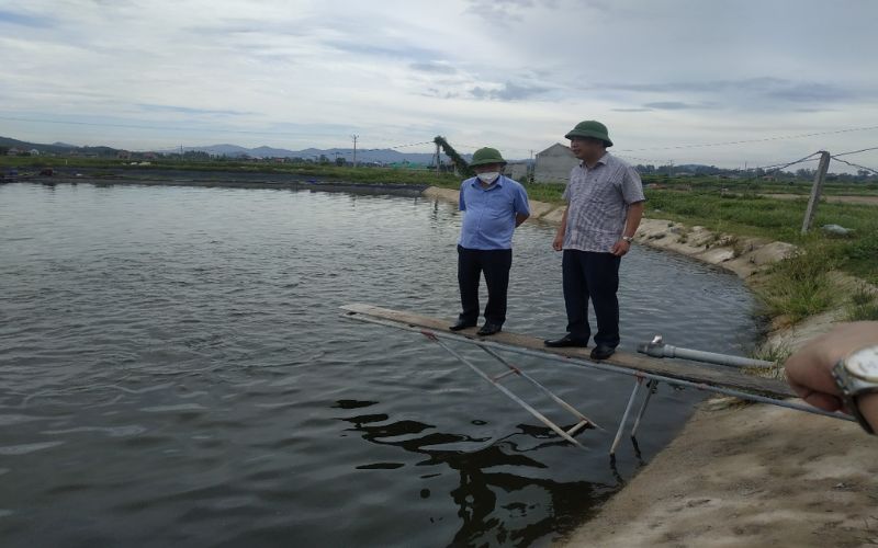 Hướng dẫn kỹ thuật nuôi cá hồng Mỹ đạt năng suất cao