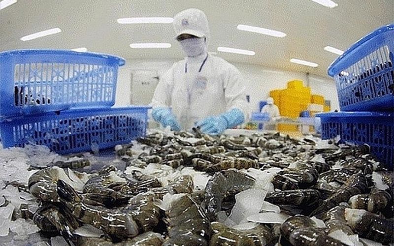 Quy trình thu hoạch, bảo quản và tiêu thụ tôm càng xanh