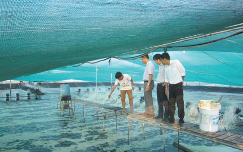 Ứng dụng kỹ thuật di truyền trong nuôi trồng thủy sản